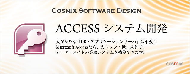 Access システム開発